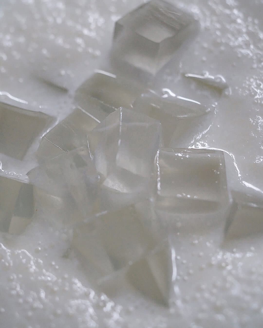 妄想写真家_9｜菓子屋ここのつ