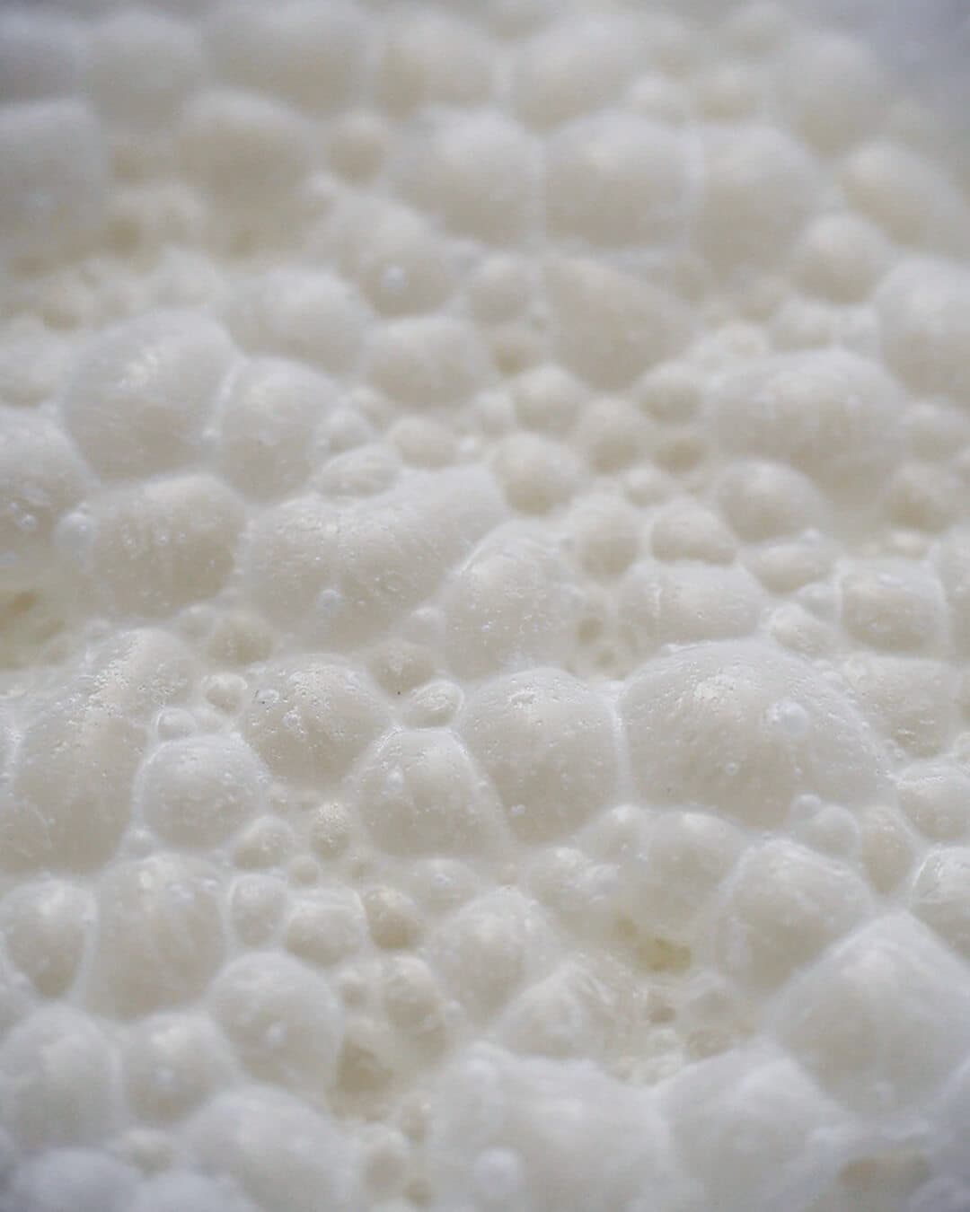 妄想写真家_9｜菓子屋ここのつ