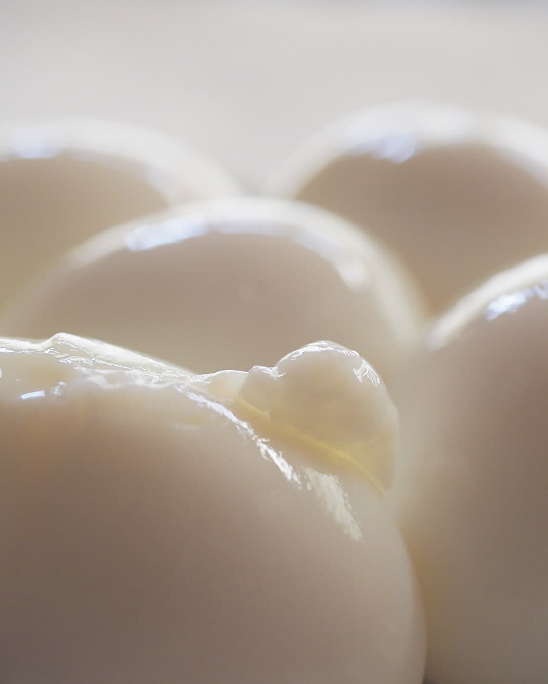 妄想写真家_9｜菓子屋ここのつ