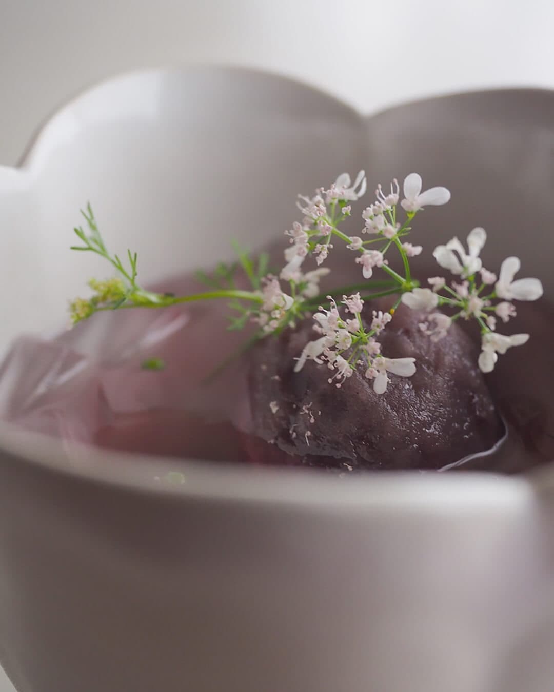 妄想写真家_9｜菓子屋ここのつ