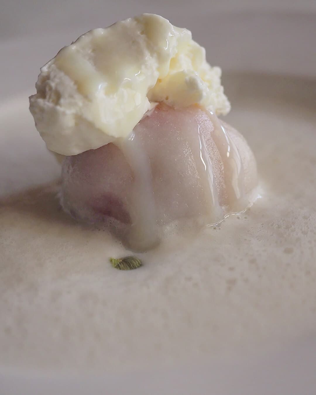 妄想写真家_9｜菓子屋ここのつ