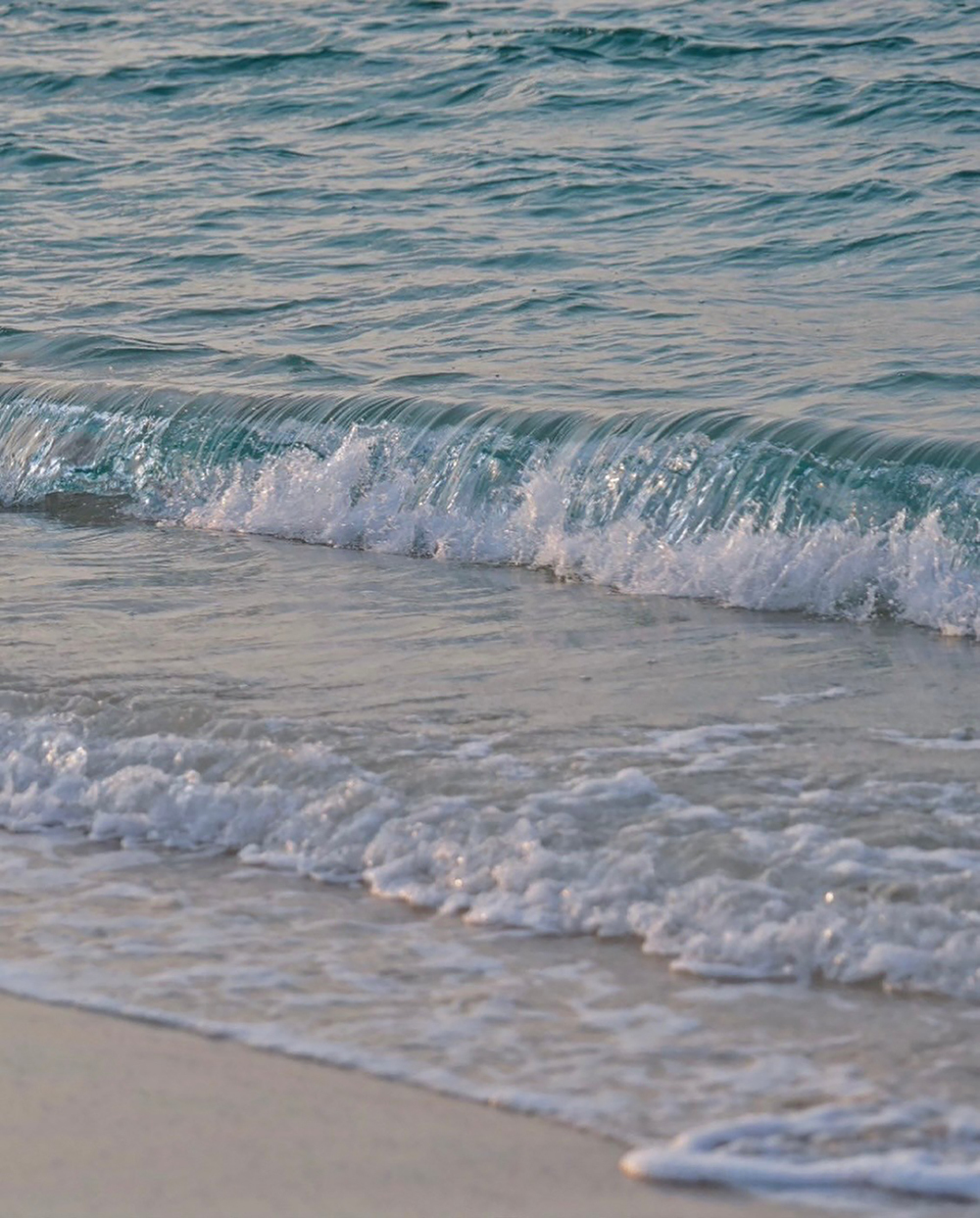 妄想写真家_9｜菓子屋ここのつ