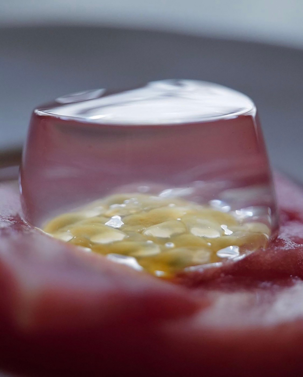 妄想写真家_9｜菓子屋ここのつ